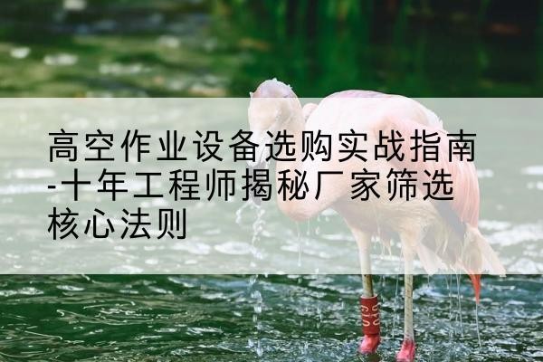 双辽剪叉式升降机厂家-高空作业设备选购实战指南-十年工程师揭秘厂家筛选核心法则