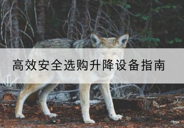 双辽升降货梯厂家推荐-*安全选购升降设备指南