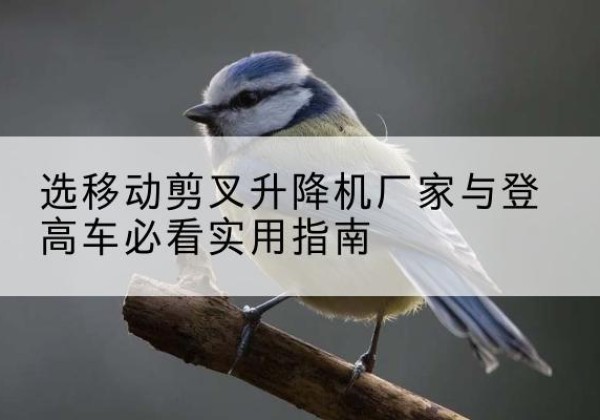 双辽电动升降机厂家-选移动剪叉升降机厂家与登高车必看实用指南