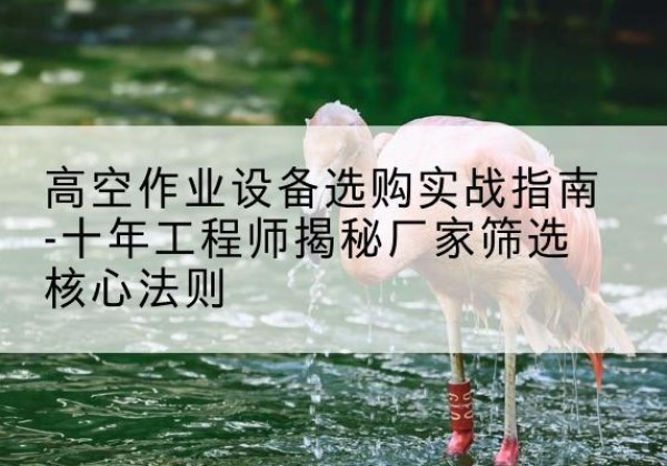 双辽剪叉式升降机厂家-高空作业设备选购实战指南-十年工程师揭秘厂家筛选核心法则