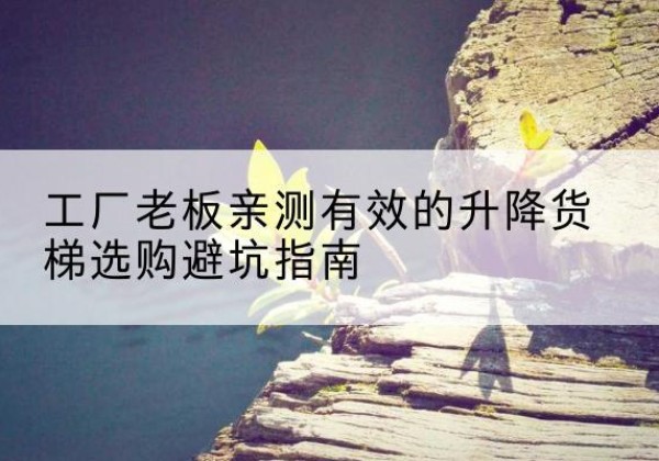 双辽升降货梯怎么选-工厂老板亲测有效的升降货梯选购避坑指南